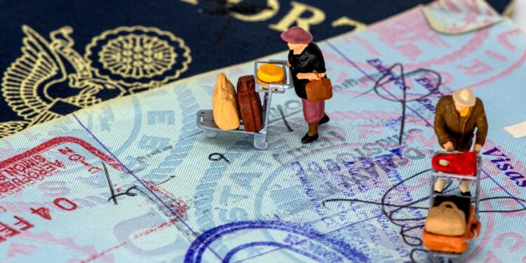 Apply For Indian Visa From Gabon And Gambia – Full E-Visa Application Process