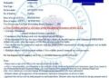 Indian Visa for Brazilian