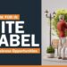 Empower White Label Business Opportunities With Expanding Its Horizons Through Technology